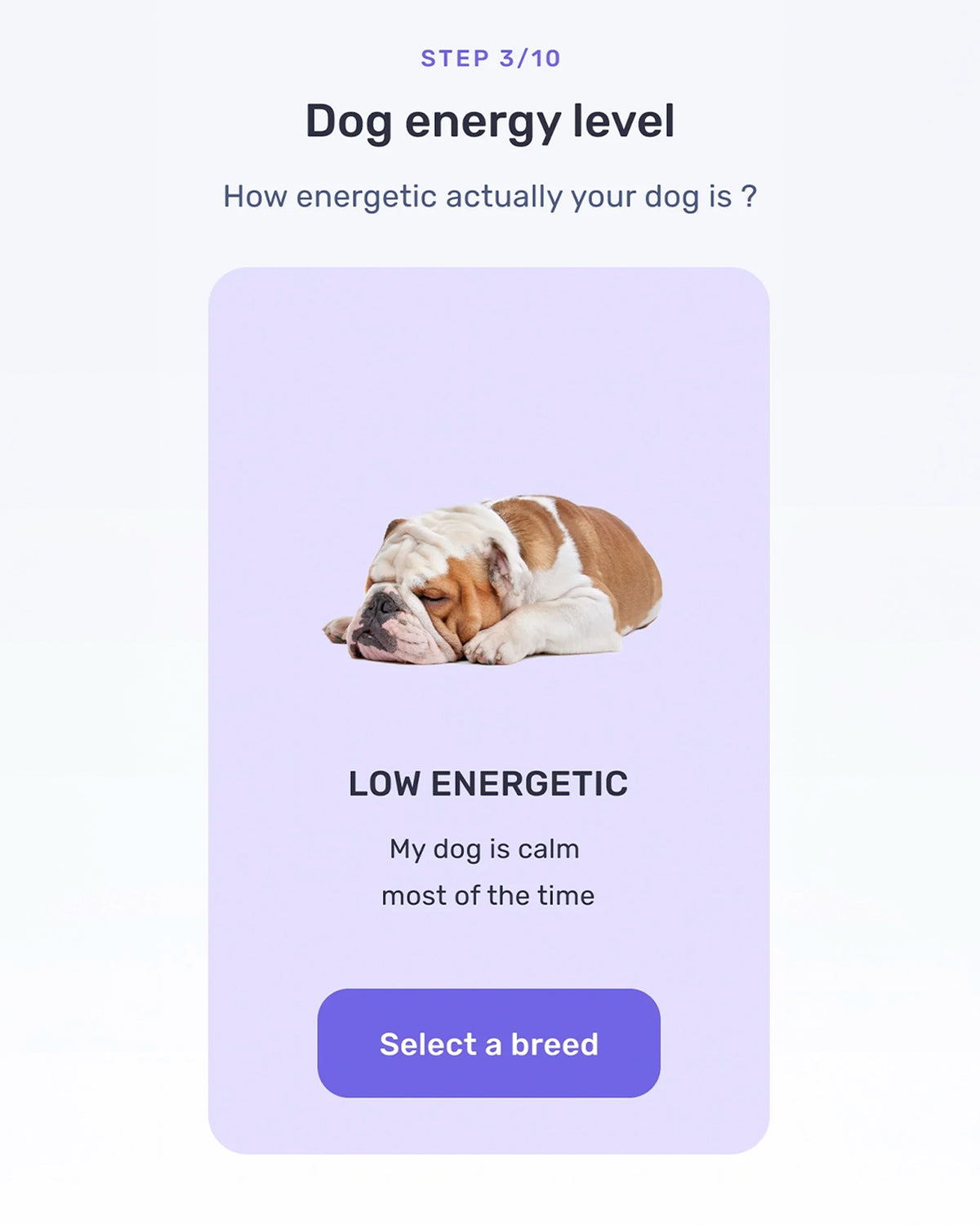 Pawmatix app screenshot