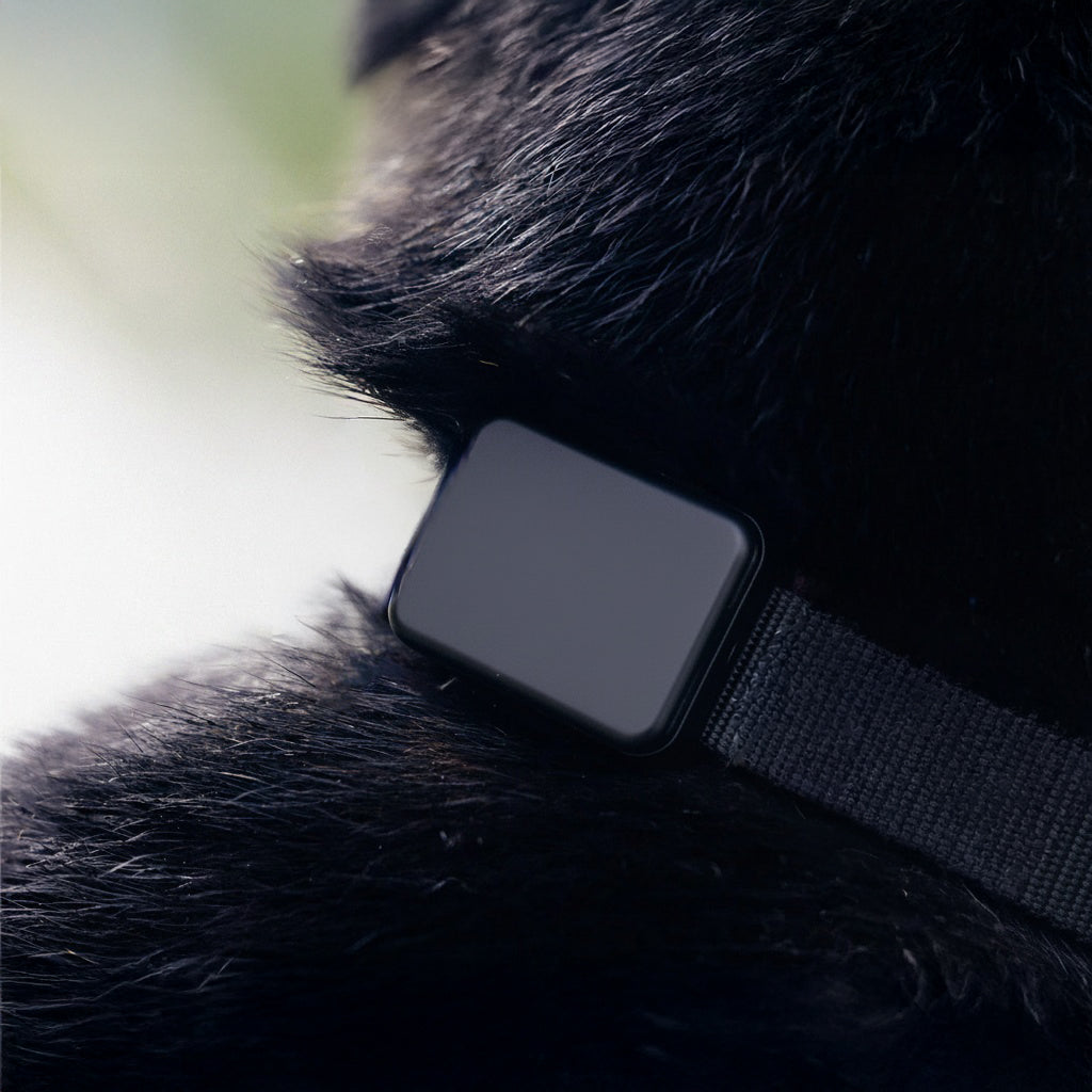 Pawmatix NOVA 1.1™ | AI Powered Smart Collar PawMatix®