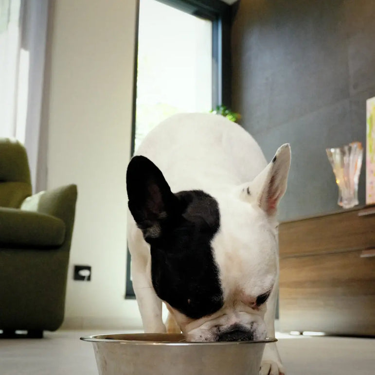 Hera™ BARF Food PawMatix®