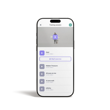 Dog Training App