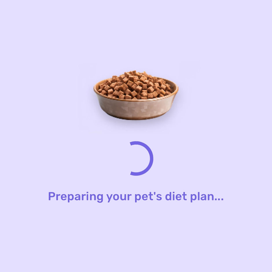 PawMatix health dashboard screenshot