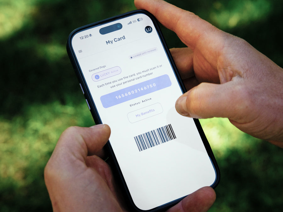 Care+ app mockup