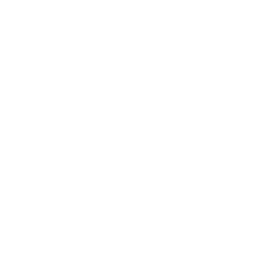 Dog Walkers